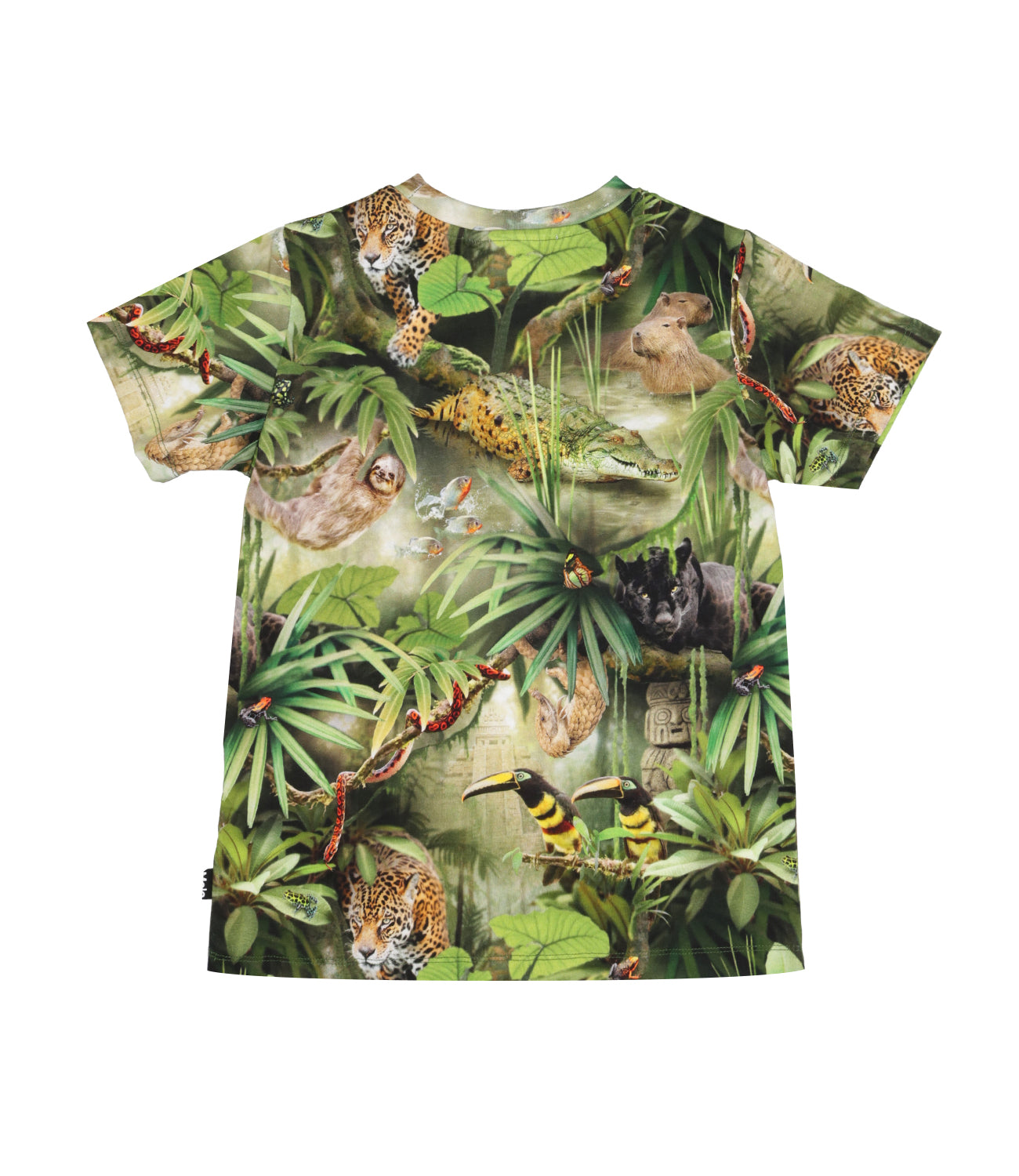 Molo | T-Shirt Ralphie Verde