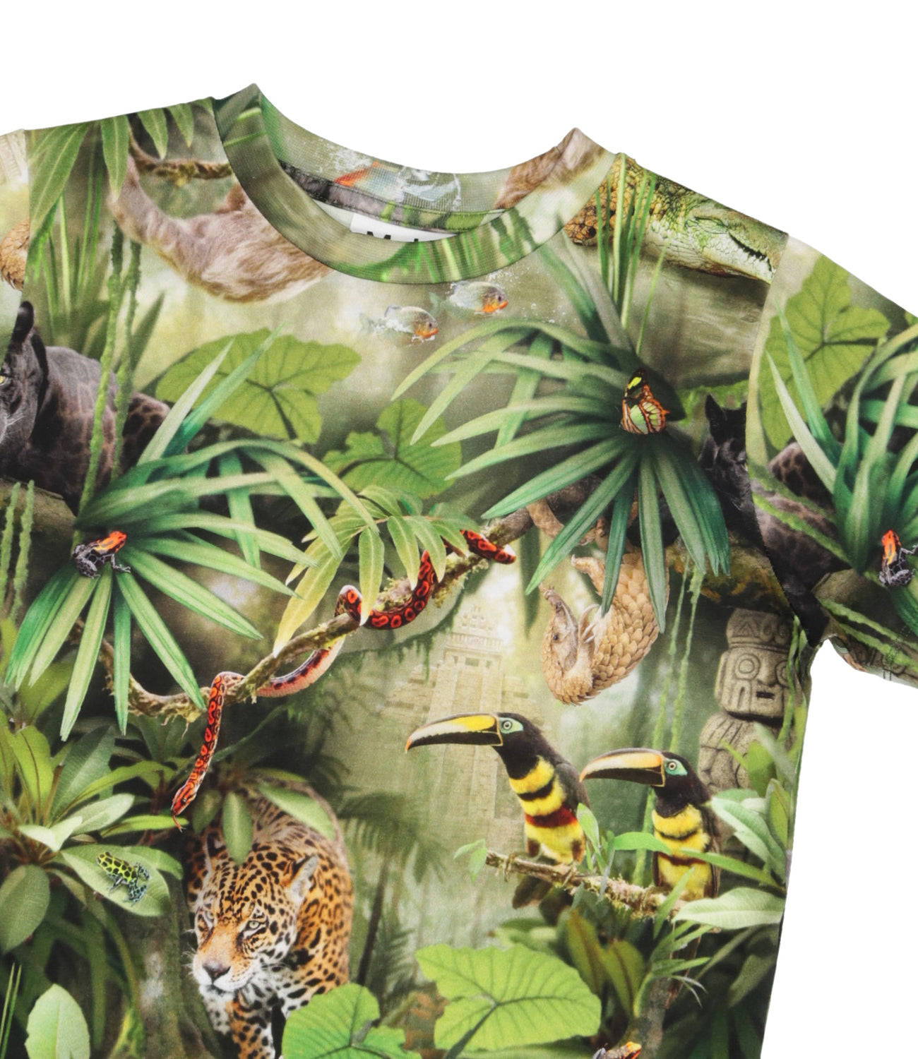Molo | T-Shirt Ralphie Verde