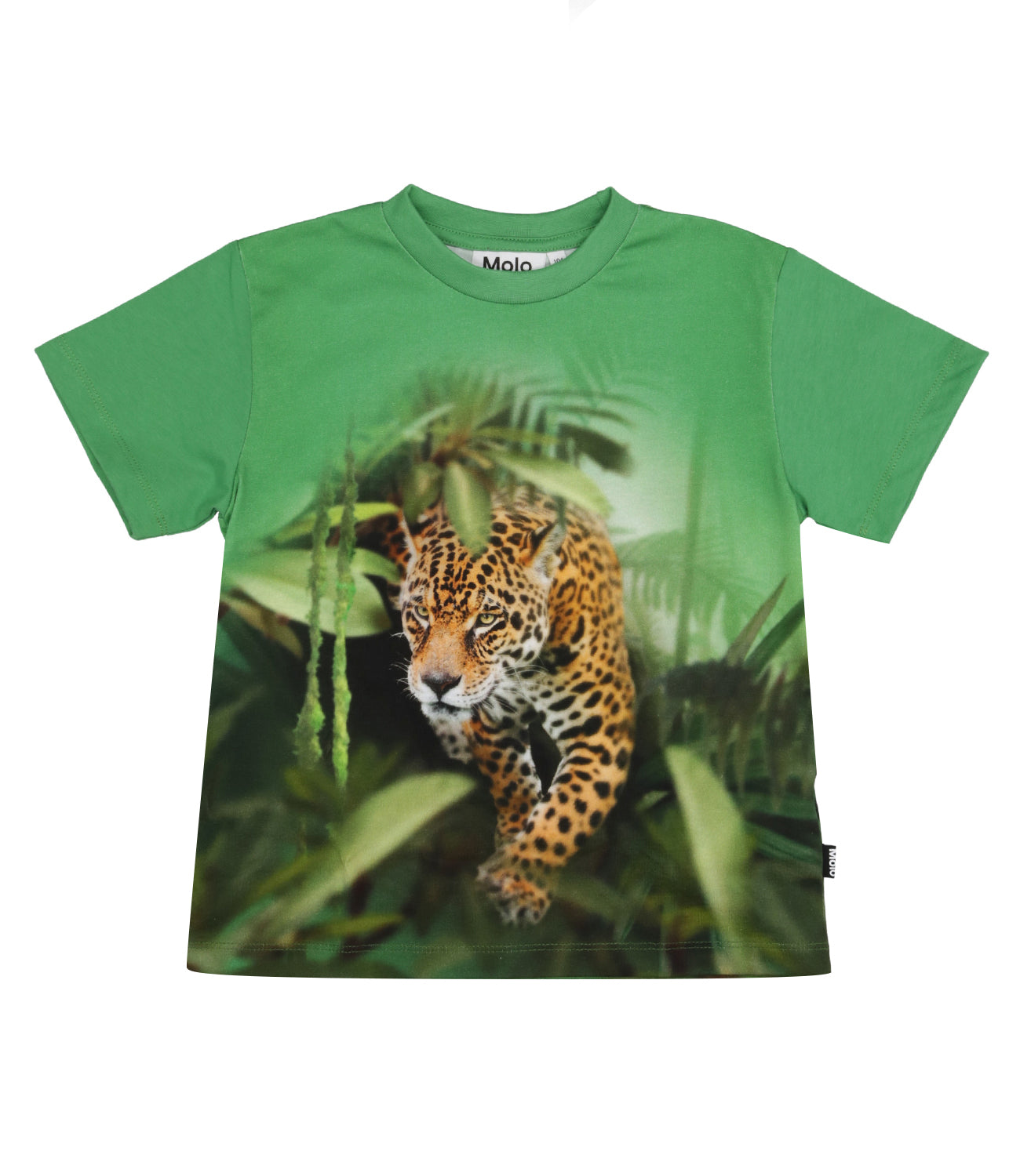 Molo | T-Shirt Riley Verde bandiera