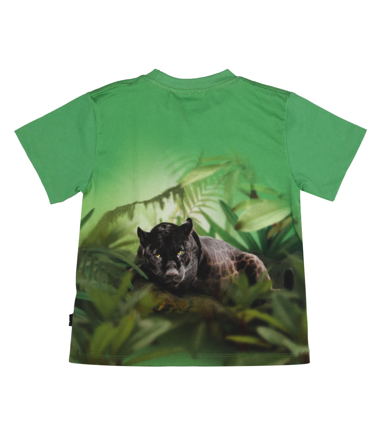 Molo | T-Shirt Riley Verde bandiera