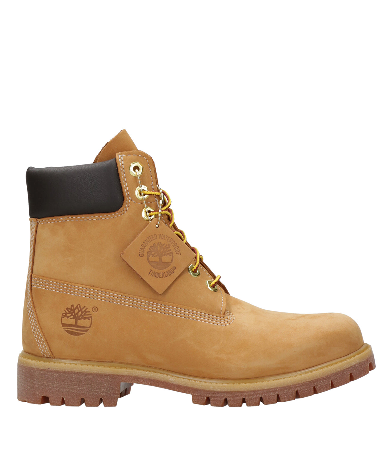 Timberland | Amphibious Prem 6 In Lace Beige