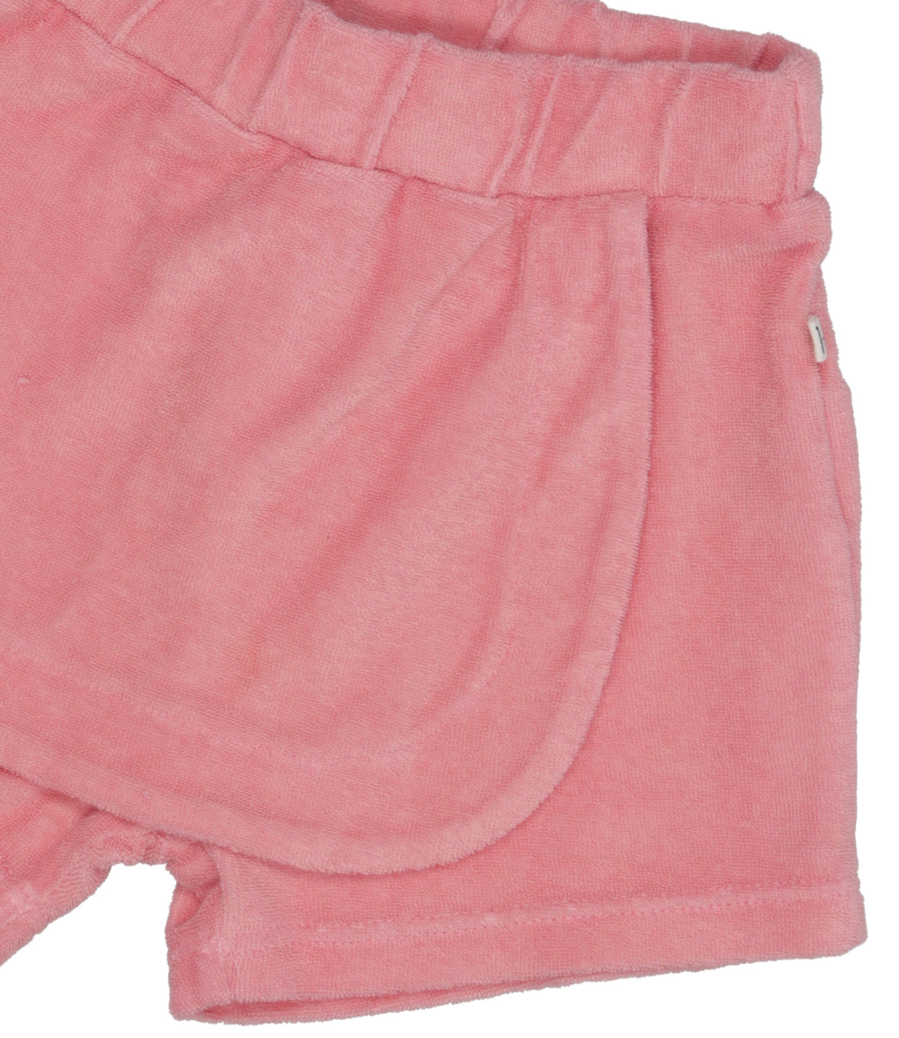 1 in the family | Shorts Fragola