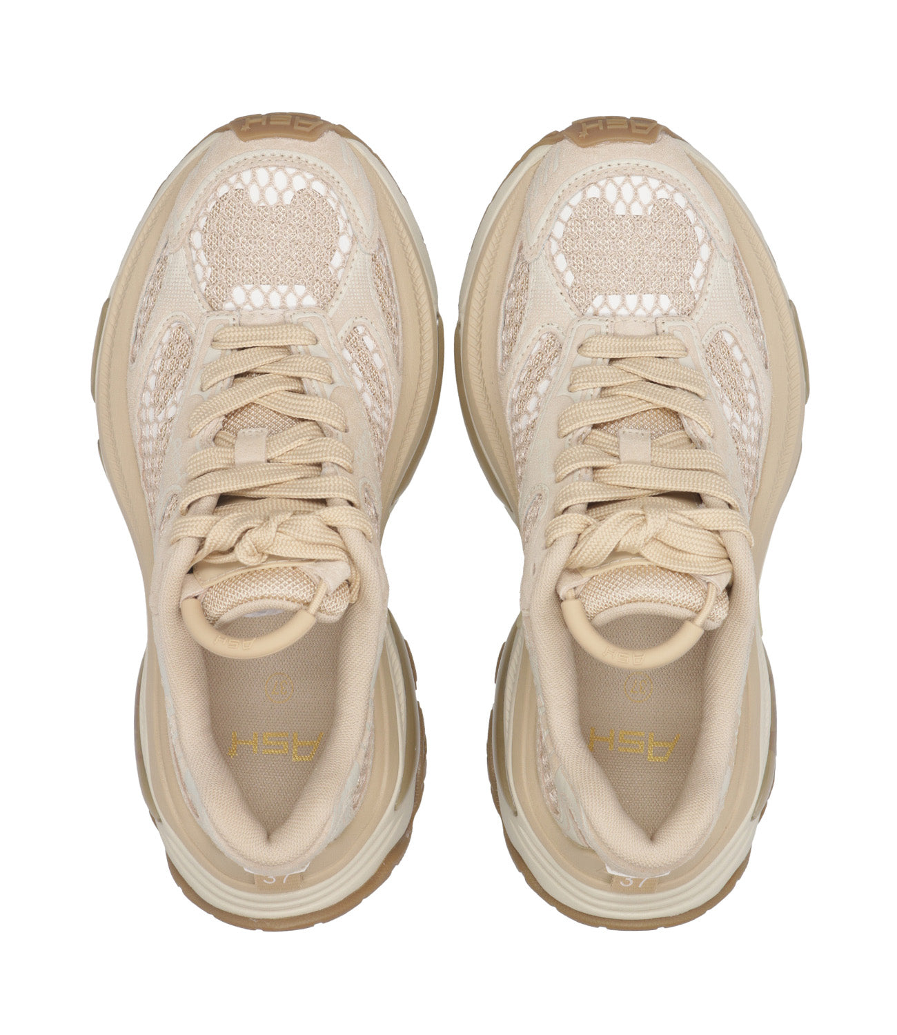 Ash Sport | Sneakers Dragon Cappuccino