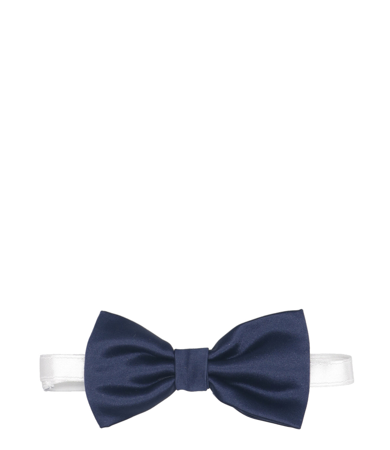 Carlo Pignatelli Junior | Papillon Blu brillante