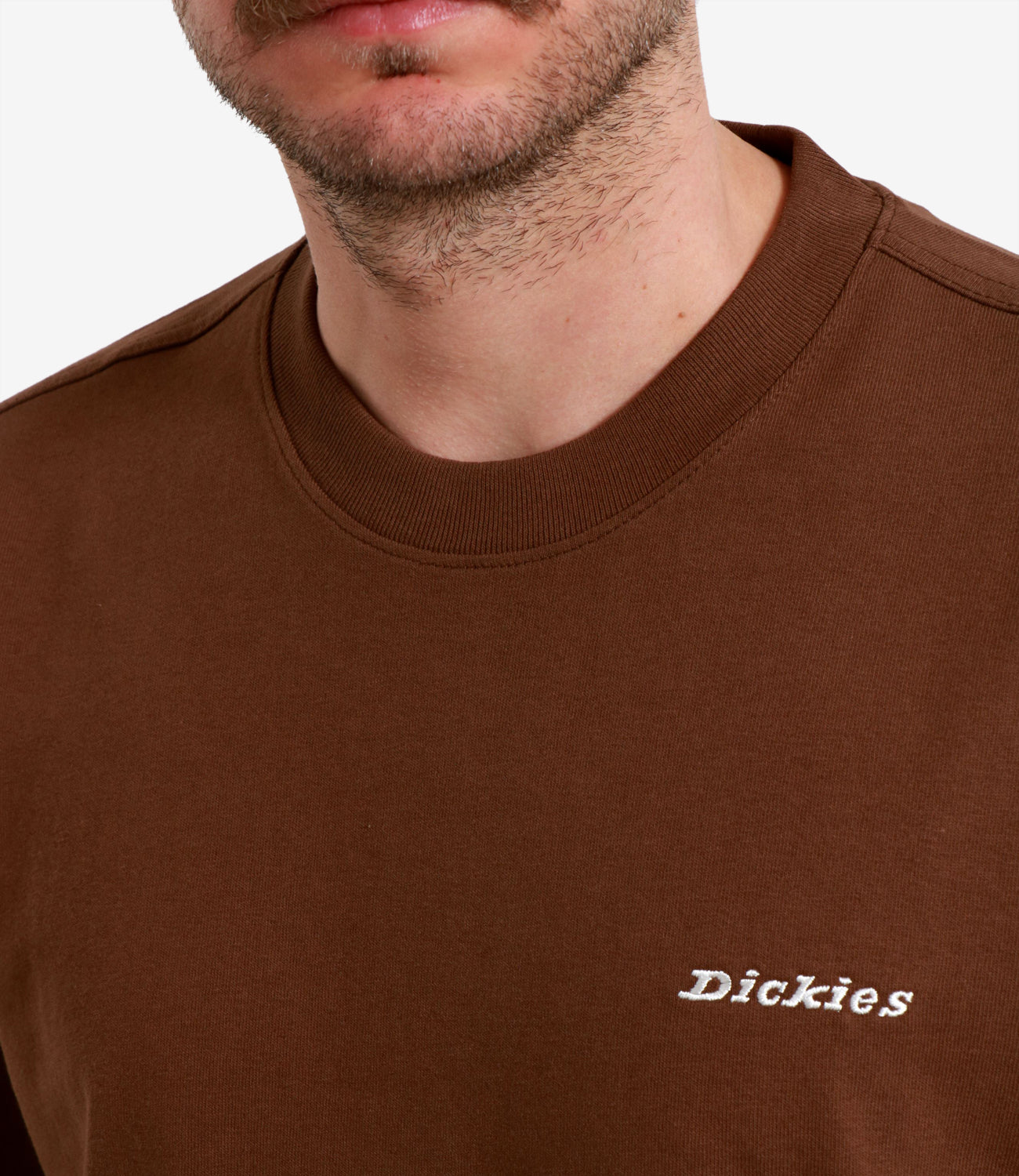 Dickies | T-shirt Marrone