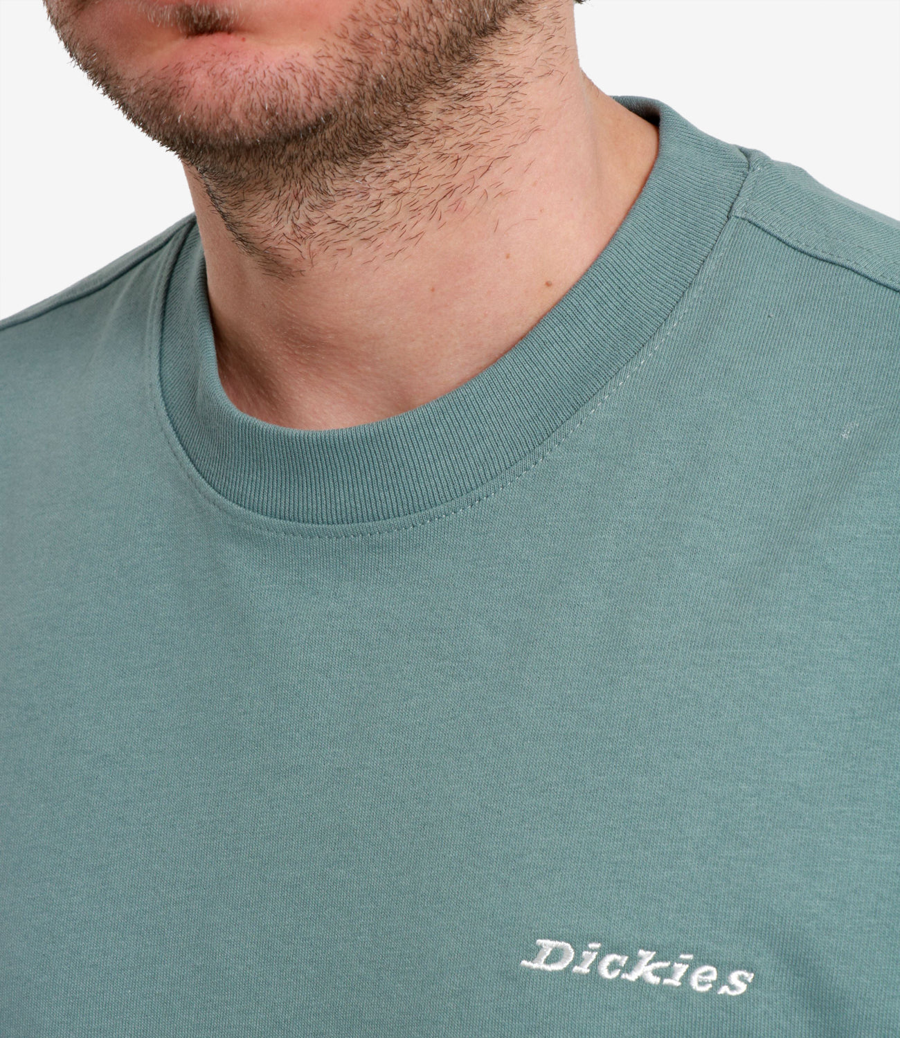 Dickies | T-shirt Salvia
