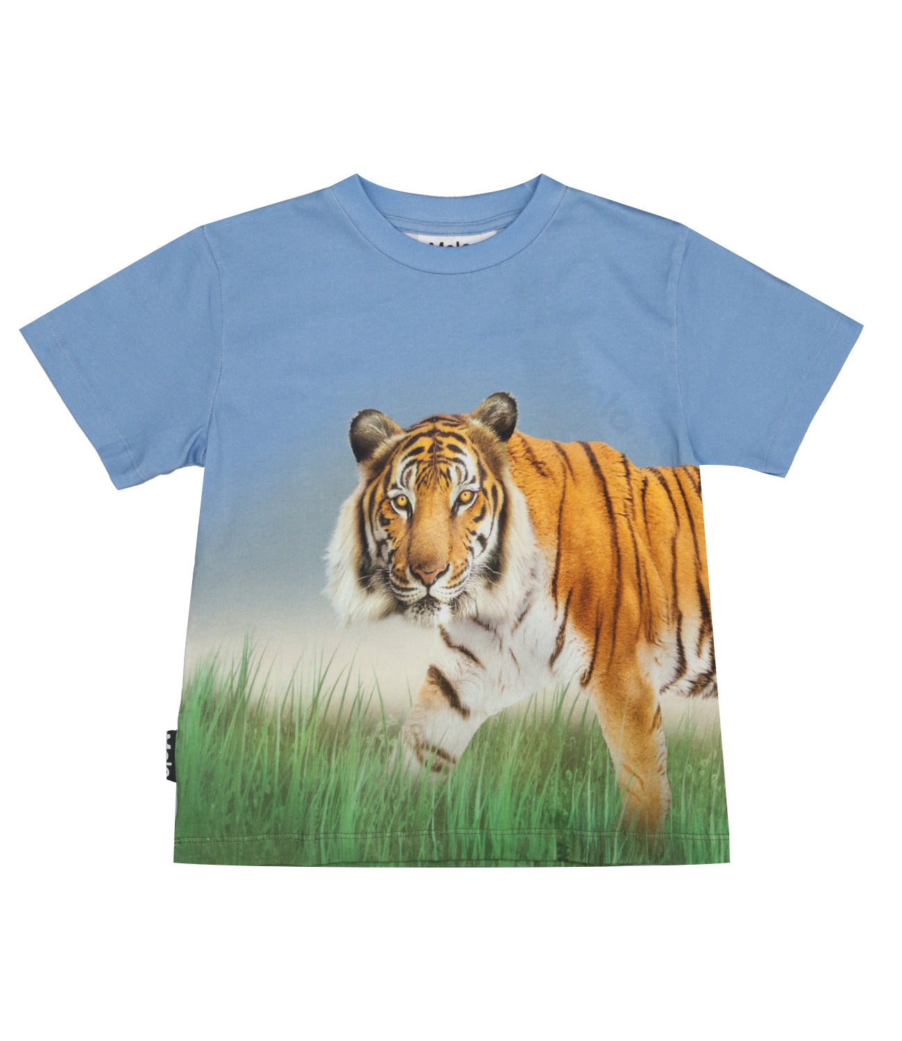 Molo | T-Shirt Rubin Azzurro Arancio