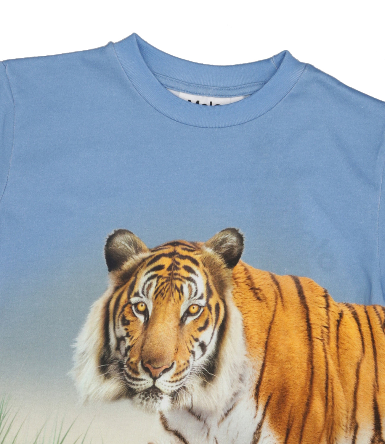 Molo | T-Shirt Rubin Azzurro Arancio