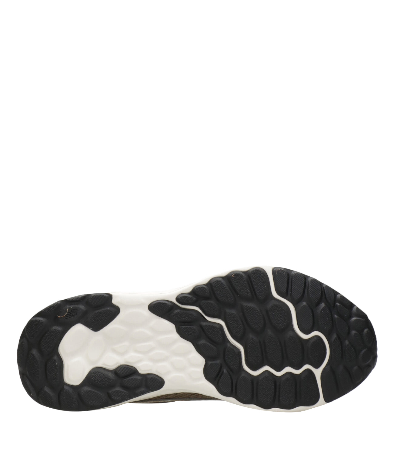 New Balance | Sneakers Fresh Foam Arishi V4 Taupe