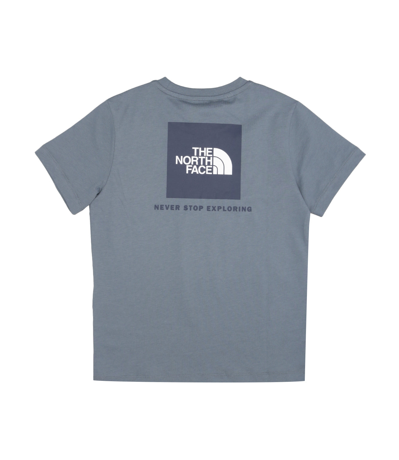 The North Face Kids | T-shirt Box Nse Ss Polvere