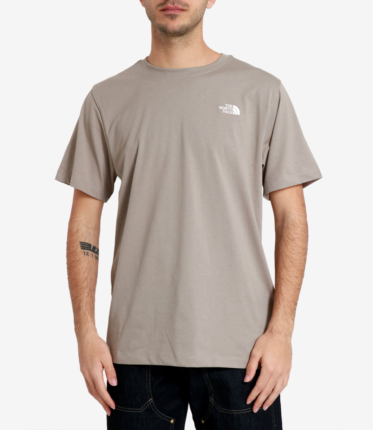 The North Face | T-Shirt Evolution Simple Dome Pietra