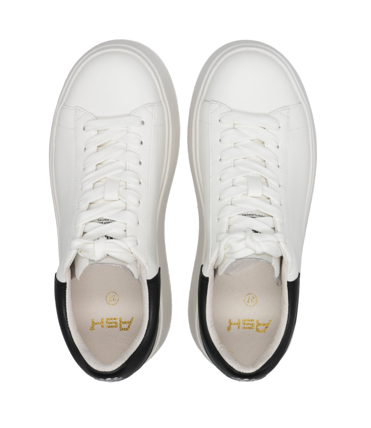 Ash Sport | Moby Sneakers White and Black