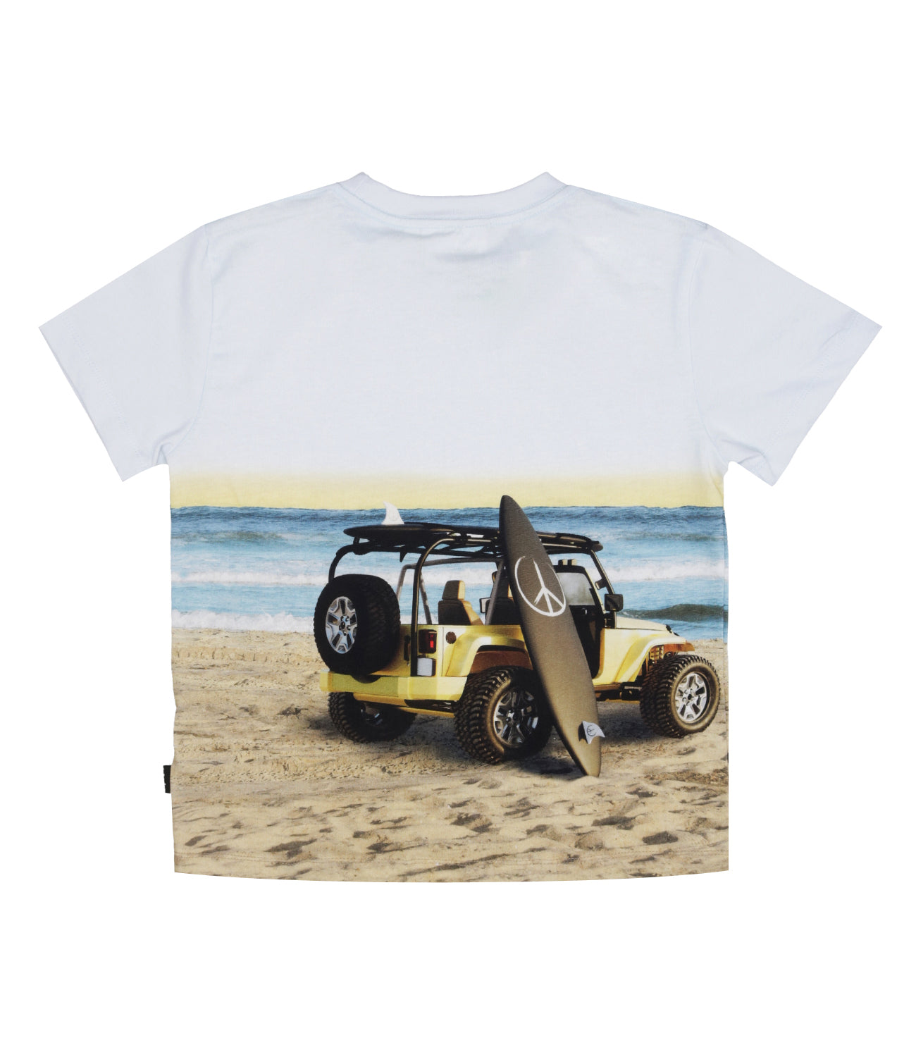 Molo | T-Shirt Rame Celeste