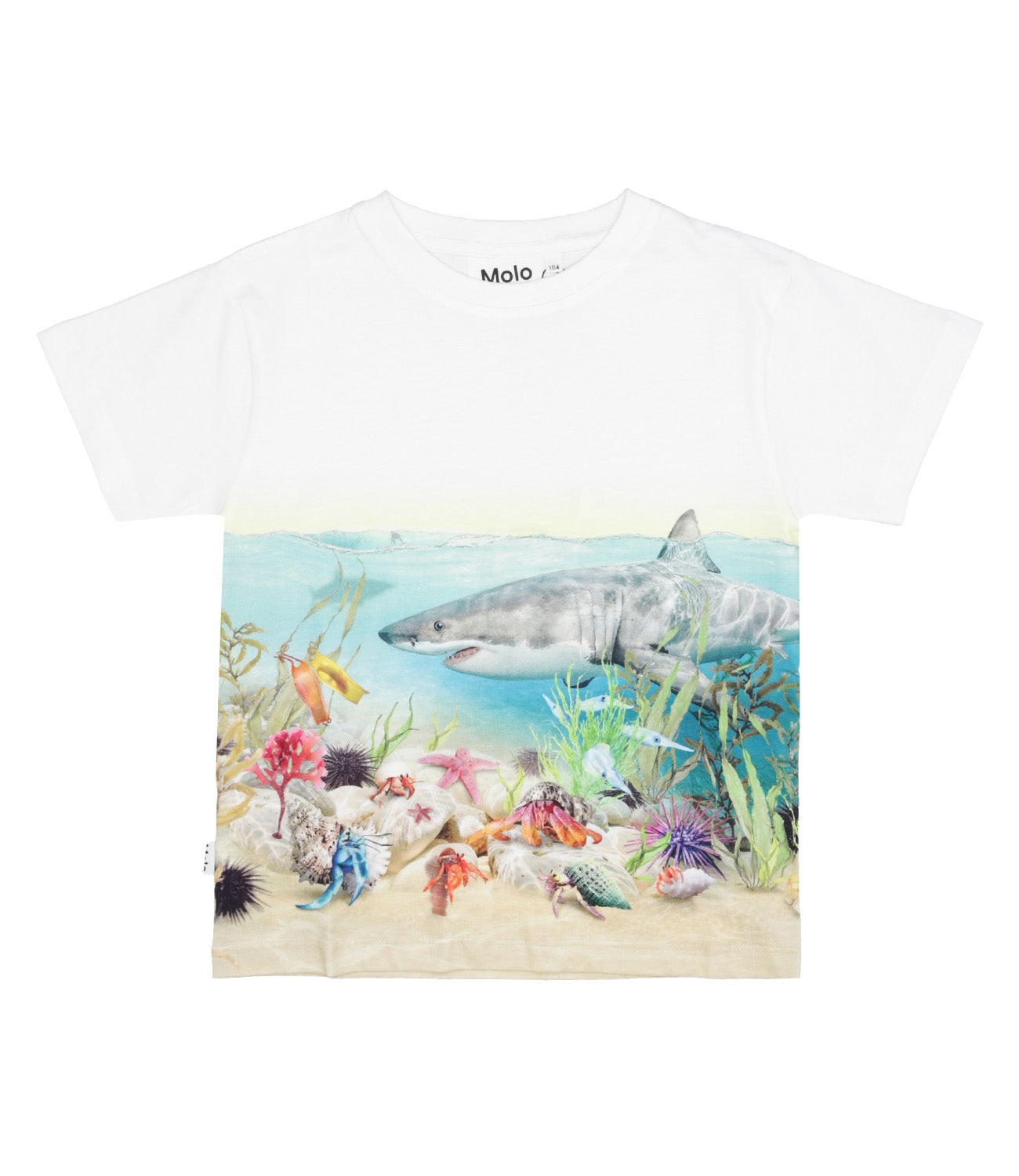 Molo | T-Shirt Raveno Bianco