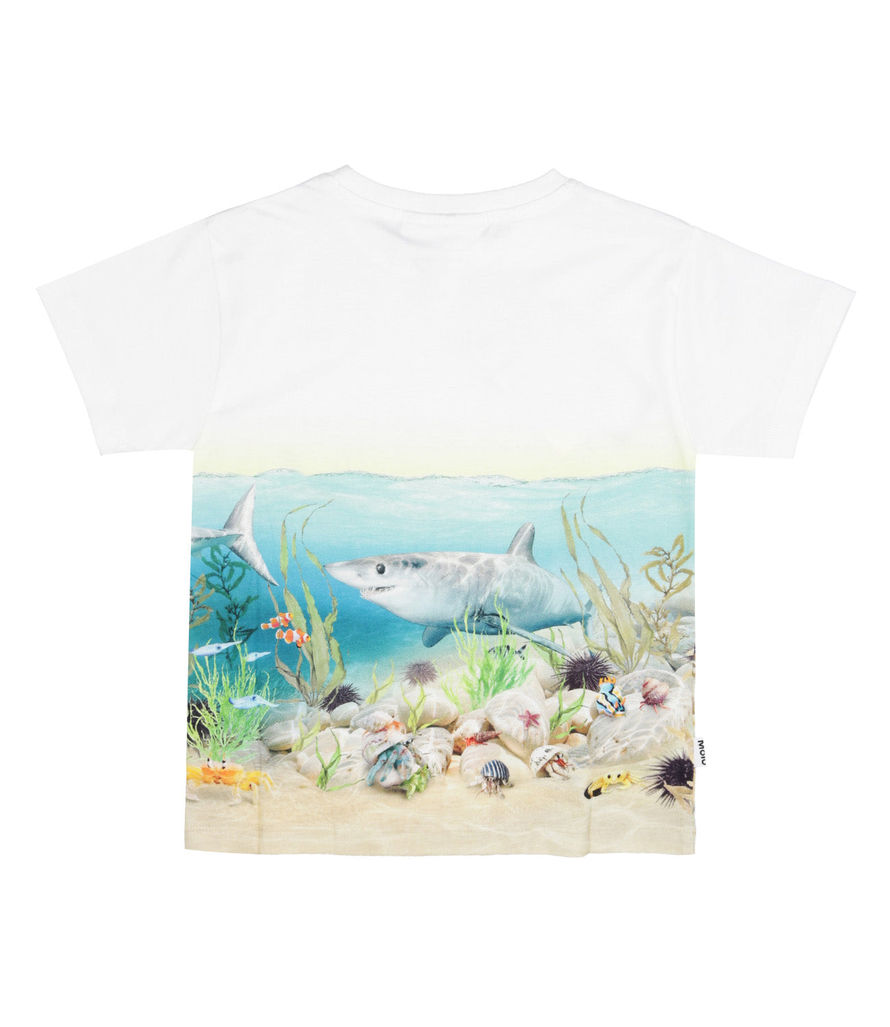 Molo | T-Shirt Raveno Bianco