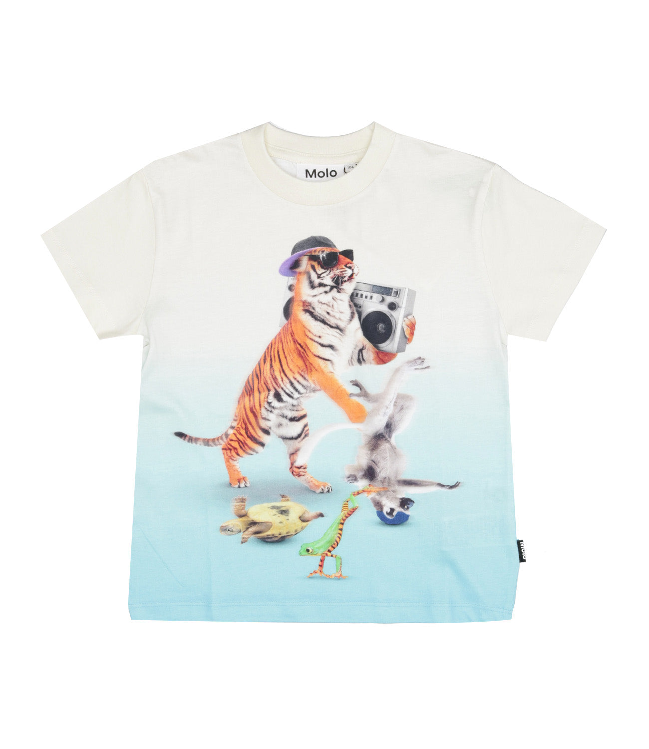 Molo | T-Shirt Roxo Bianco e Celeste