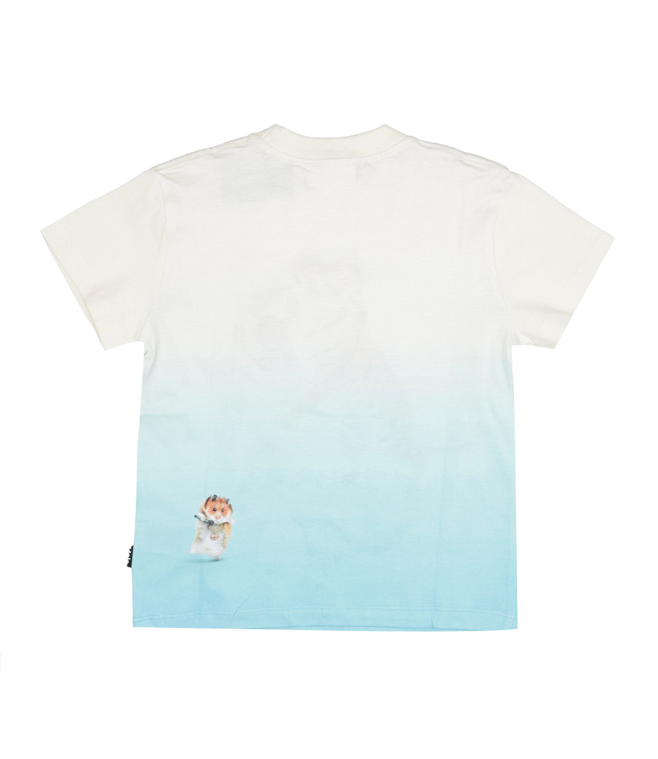 Molo | T-Shirt Roxo White and Light Blue