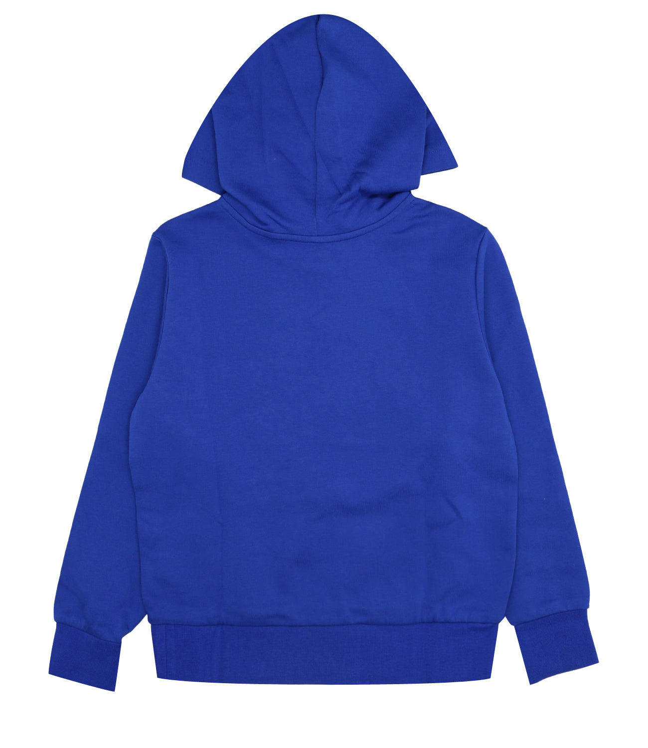 Ralph Lauren Childrenswear | Sweatshirt Blue